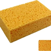Sponge Cell 1.75"